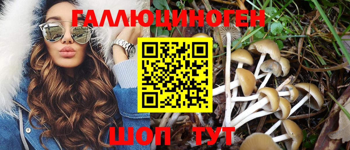 Лосино-Петровский  Псилоцибиновые грибы Magic Shrooms  Вход с VPN 